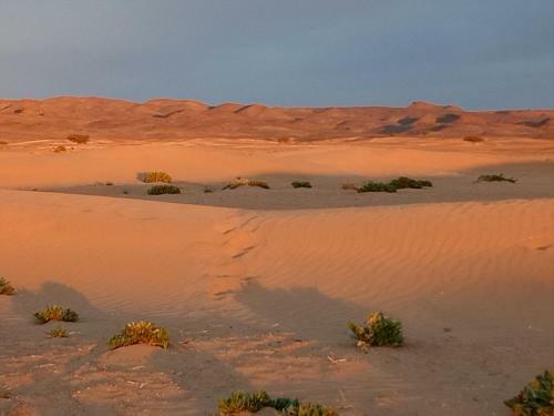 Lodge Sahara Peace
