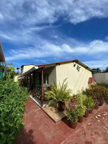 Apartamento Caribean Paradise 1