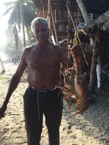 Albergue Calma Chicha