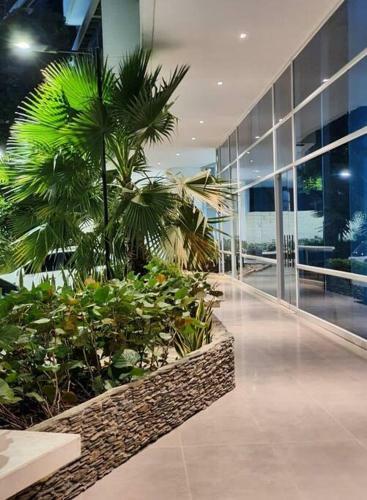 Apartamento Hermoso Loft En Santa Marta