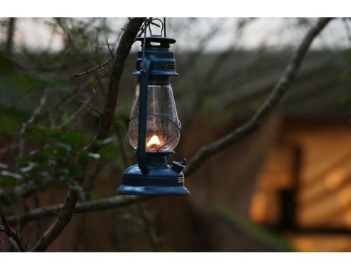 Basecamp - Yala