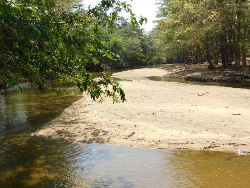Hotel Kayjay Wild Wilpattu