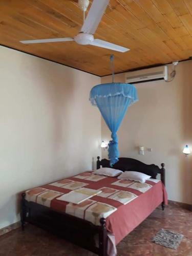 Hostal Freedom Villa