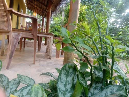 Hotel Kelaya At Hiriketiya Collection