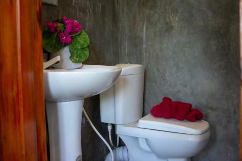 Hostal The Surf Access Guest House And Hostel