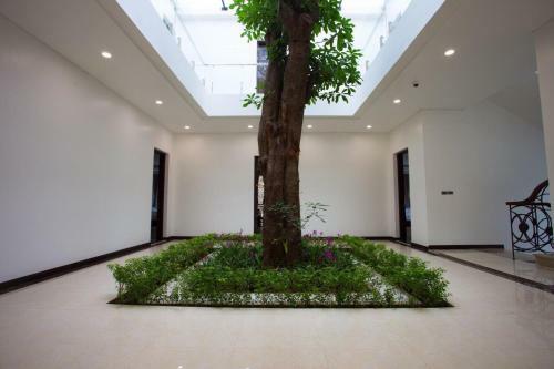 Villa Tam Dao Golf & Resort Luxury