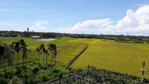 Agroturismo Gully Orchard Homestay