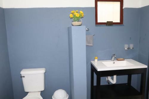 Casa Malu