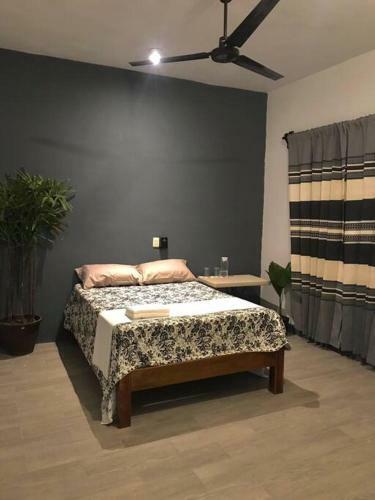 Apartamento A Media Cuadra Del Parque Central-huatulco