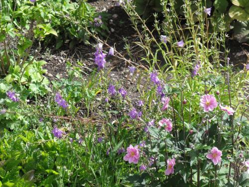 Bed & Breakfast Arisaig Guest House