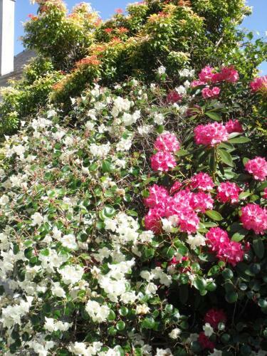 Bed & Breakfast Arisaig Guest House