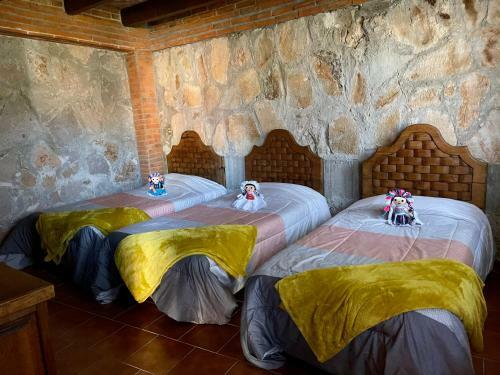 Casa De Campo Para 21 Personas Con Alberca Y Caldera