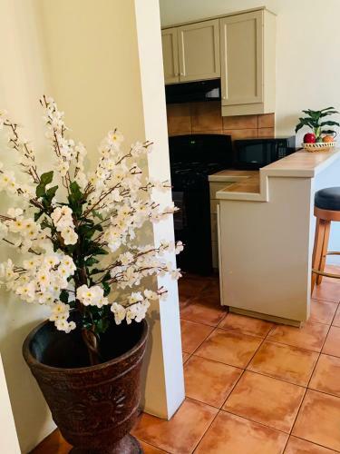 Apartamento Departamento High Class Cacho Tijuana
