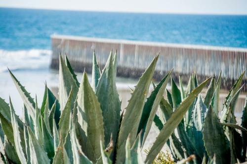 Apartamento Beachfront, Sun, Sand & Fun - Cozy 1 Bdr Apt