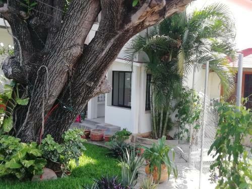 Hostal Las S�bilas M�ster Suite