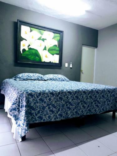 Hostal Casa Ixchel - Private Parking, A/c, Wifi, Hot Water, A/c