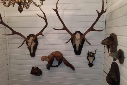 Gem�tliches Ferienhaus Im Ennstal