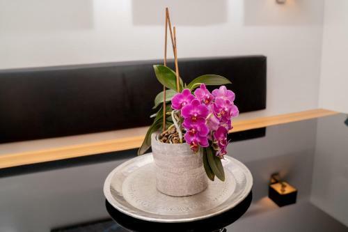 Apartment Jessica Mit Sauna Und Eigenem Garten