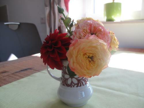 Apartamento Appartement Waldblick