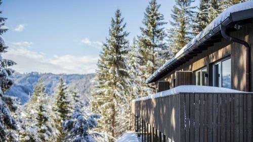 Apartamento Bienenkunde Lunz