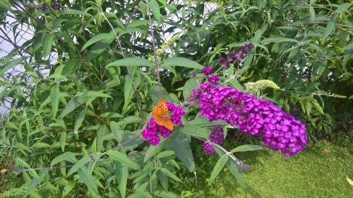 Apartamento Appartement Erlbacher