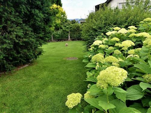 Ferienhaus H�mmerle�s