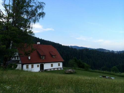Chalet Hinterbreiteneben