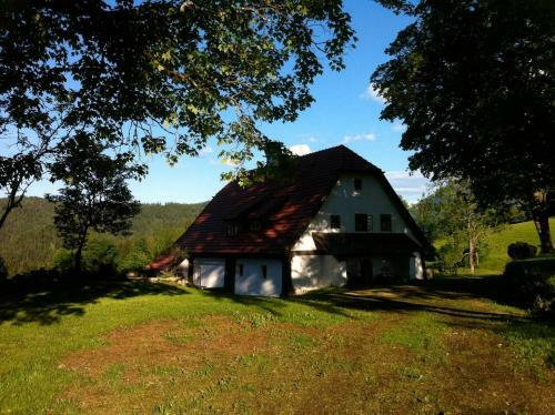 Chalet Hinterbreiteneben