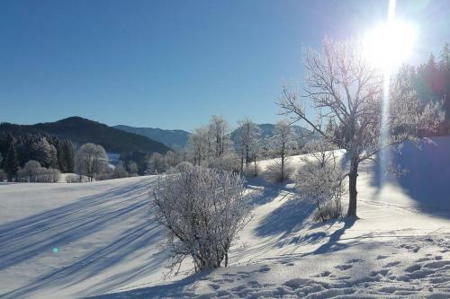 Chalet Hinterbreiteneben