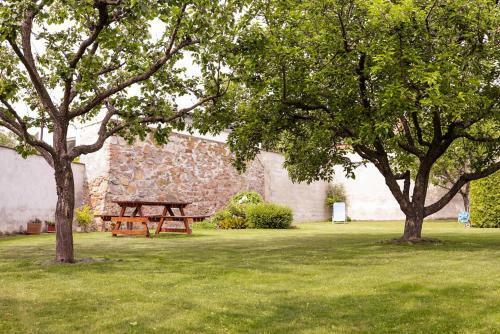 Hostal Pension Zur Weintraube