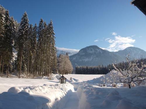 Hostal Pension Sonneck