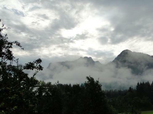 Apartamento Brandtner Brennerbauer