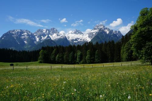 Apartamento Das Rendlgut