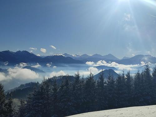 Ferienhaus Gro�alber