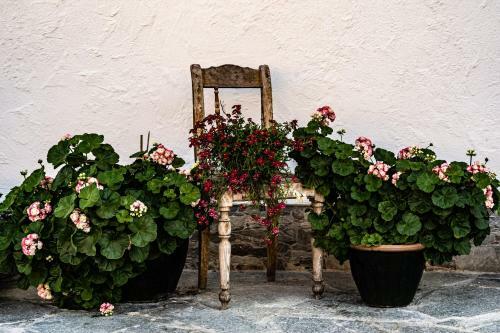 Apartamento Biobauernhof Gast