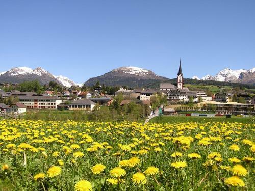 Apartamento Landhaus Pichler