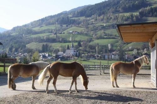 Chalet-prinz-murau-kreischberg