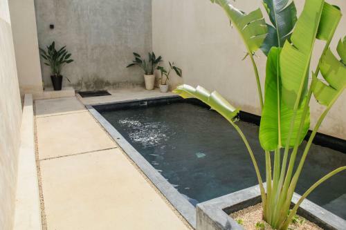 Beautiful And Relaxing Apartment In Tulum 50 Mgb