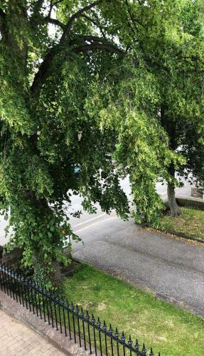 Hostal Ashdene House