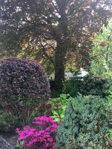 Bed & Breakfast Claremont House