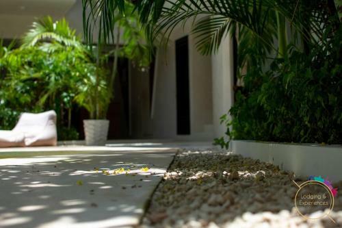 Apartamento Live The Jungle In Tulum Perfect Studio Wifi And Pool