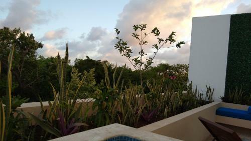 Apartamento My Tulum