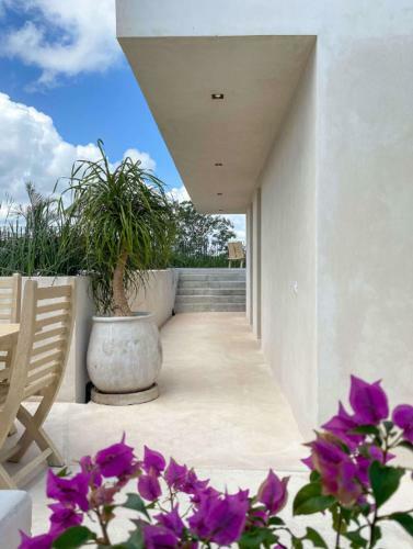 Apartamento Villa In Aldea Zama With Private Pool-transportation Included!