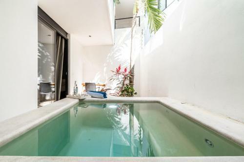 Apartamento Loft Laurel Plunge Pool , Wifi, A/c, Parking
