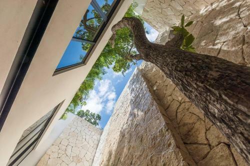 Bed & Breakfast Casa Koala II Ac, Sleeps 10, 2 Bikes, Hammock