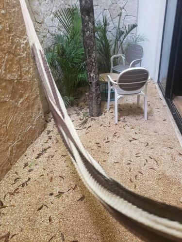 Bed & Breakfast Casa Koala II Ac, Sleeps 10, 2 Bikes, Hammock