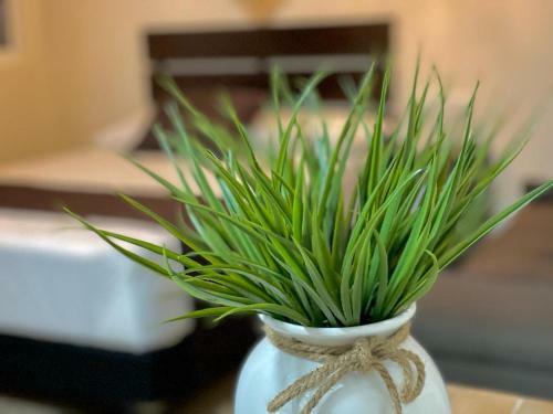 Hotel Corazon De Tulum