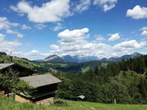 Apartamento Ferienwohnung Aschaber