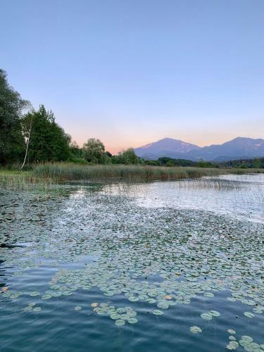 Privatzimmer Haus Waltraud Am Turnersee