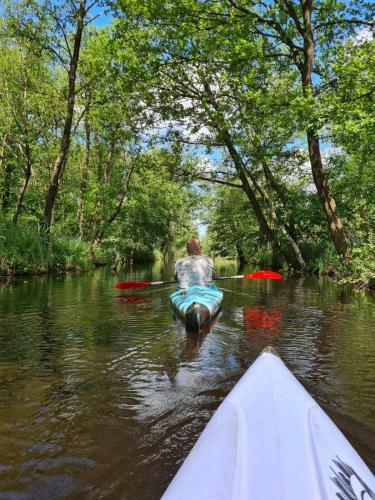 Camping De Houtwal